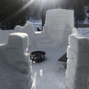 Read more about the article Building My Snow Fort