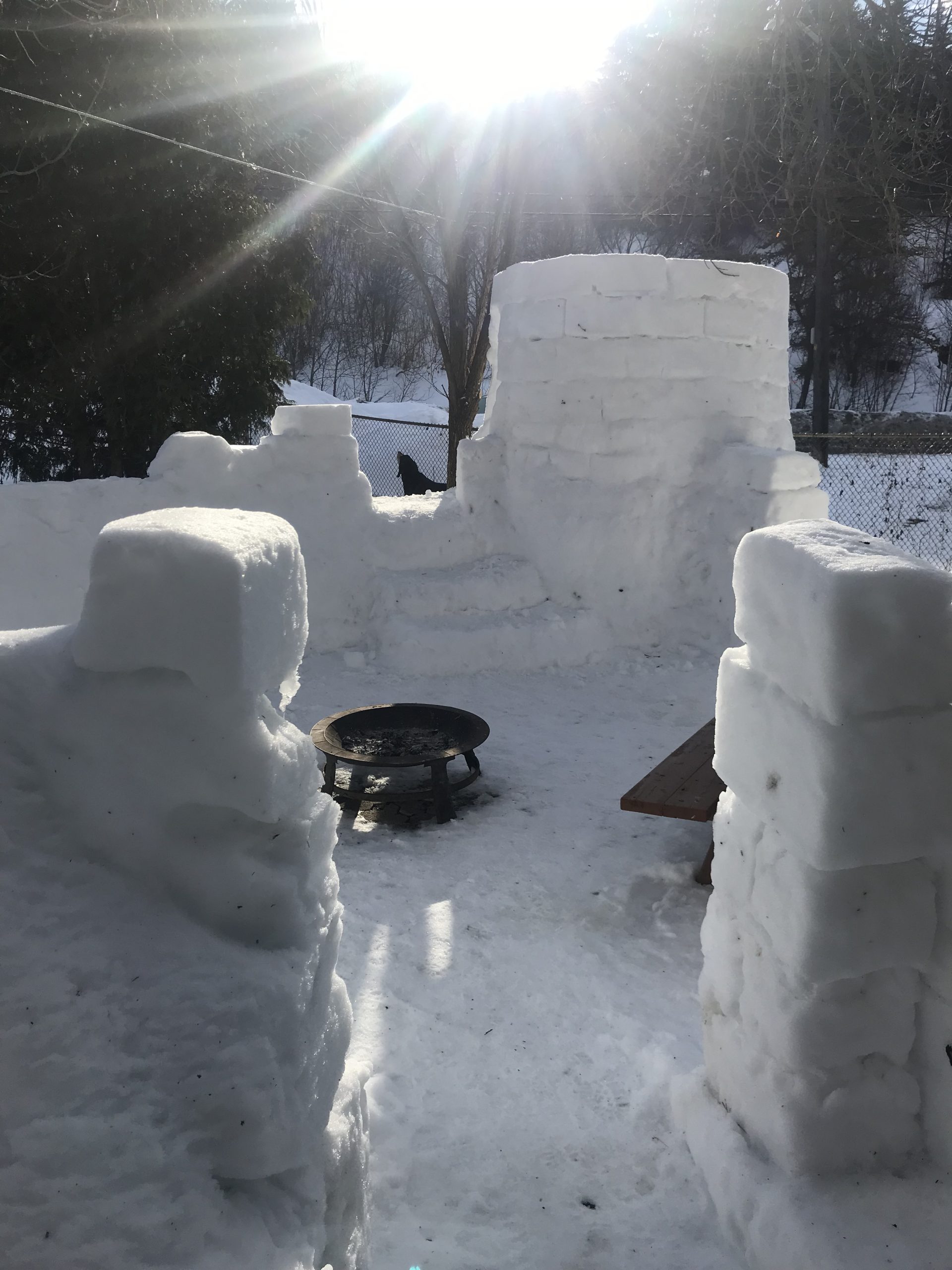 Read more about the article Building My Snow Fort