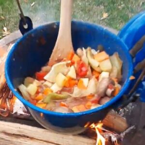 Read more about the article Vegetable Stew On The Firepit